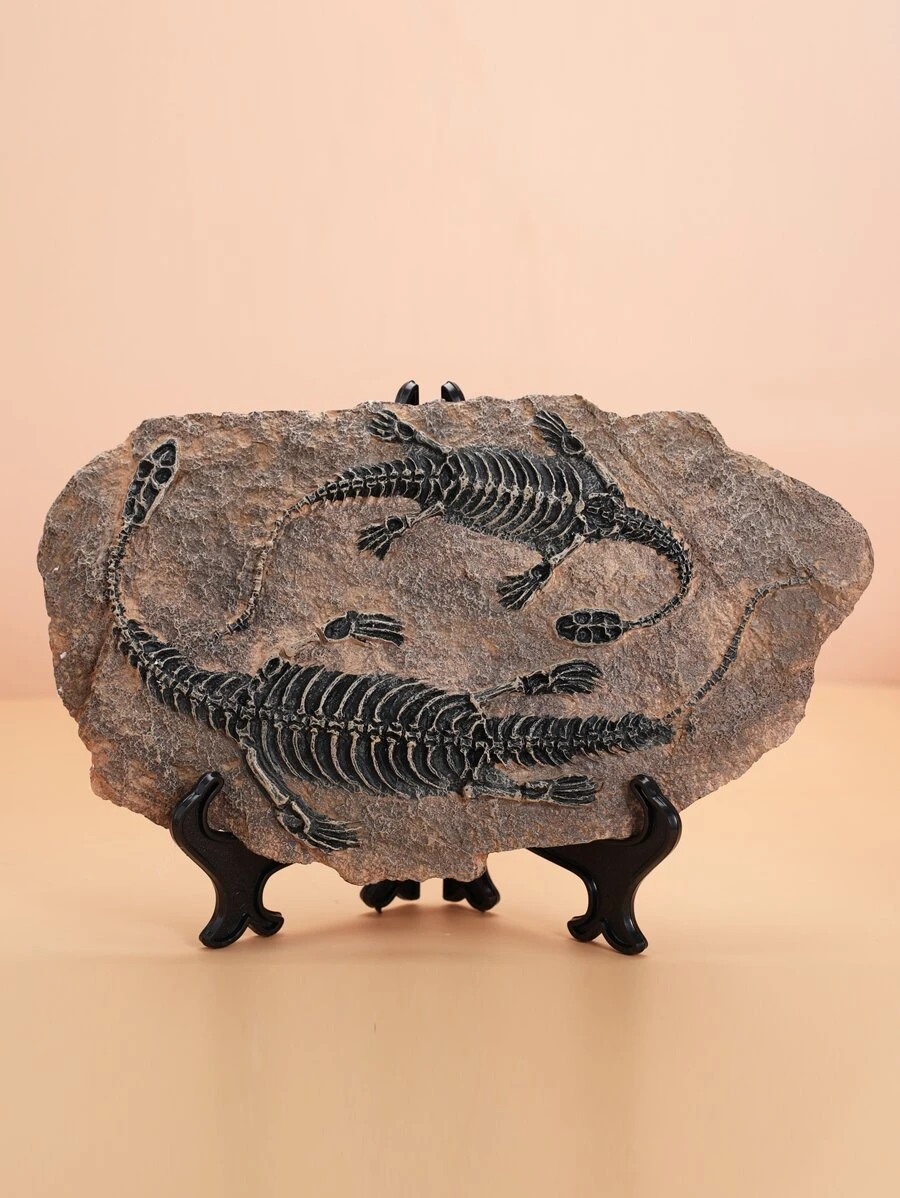 Dinosaur Fossil Display Ornament - Light Grey - View 1