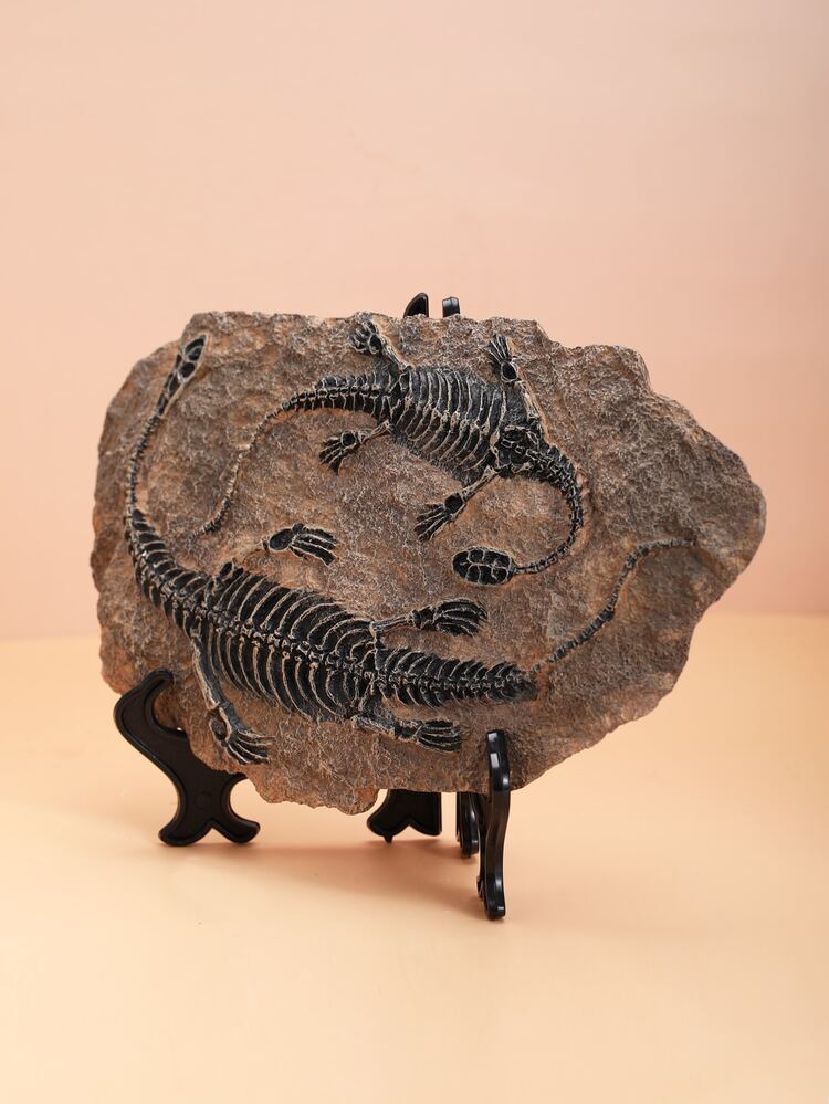Dinosaur Fossil Display Ornament - Light Grey - View 2