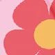 Multicolor