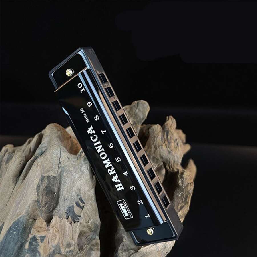 10 Holes Student Harmonica With Titanium Gold Copper Reed, Musical ...