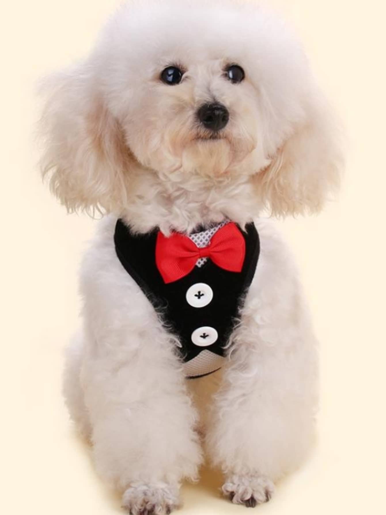 Correa para perros de mascota pecho arnés con trasero con tira para paseo medio con perros pequeños, perro de peluche con cadena,, cuerda, perro suministros