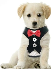 Correa para perros de mascota pecho arnés con trasero con tira para paseo medio con perros pequeños, perro de peluche con cadena,, cuerda, perro suministros
