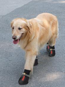 Buty dla zwierząt z nadrukiem z materiału PU, ozdobne buty dla zwierząt, odpowiednie dla średnich i dużych zwierząt domowych do użytku na zewnątrz, wodoodporne i antypoślizgowe