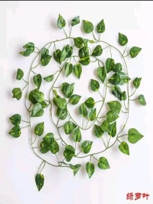 Rain Chains - Small - Jiboia - View 2