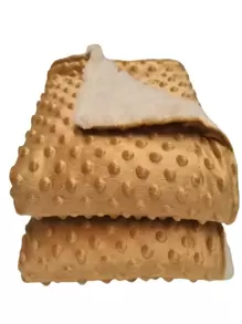 Blankets - Lạc đà - Xem 1