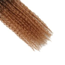 Curly Braiding Hair Ombre Brown Curly Crochet Hair for Women 1 Pack Ocean Wave Crochet