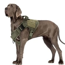 3 件/套可調式狗背帶,附項圈和皮帶,戶外訓練背心,帶易於控製手柄,適合小型至大型犬 - 軍綠色 - 查看 2