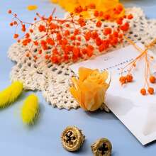 5-10pcs/Box Preserved Flowers/Photo Frame Decor Flowers - In Stock, Suitable For Christmas Decoration And Home Decor