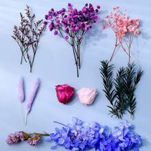 5-10pcs/Box Preserved Flowers/Photo Frame Decor Flowers - In Stock, Suitable For Christmas Decoration And Home Decor