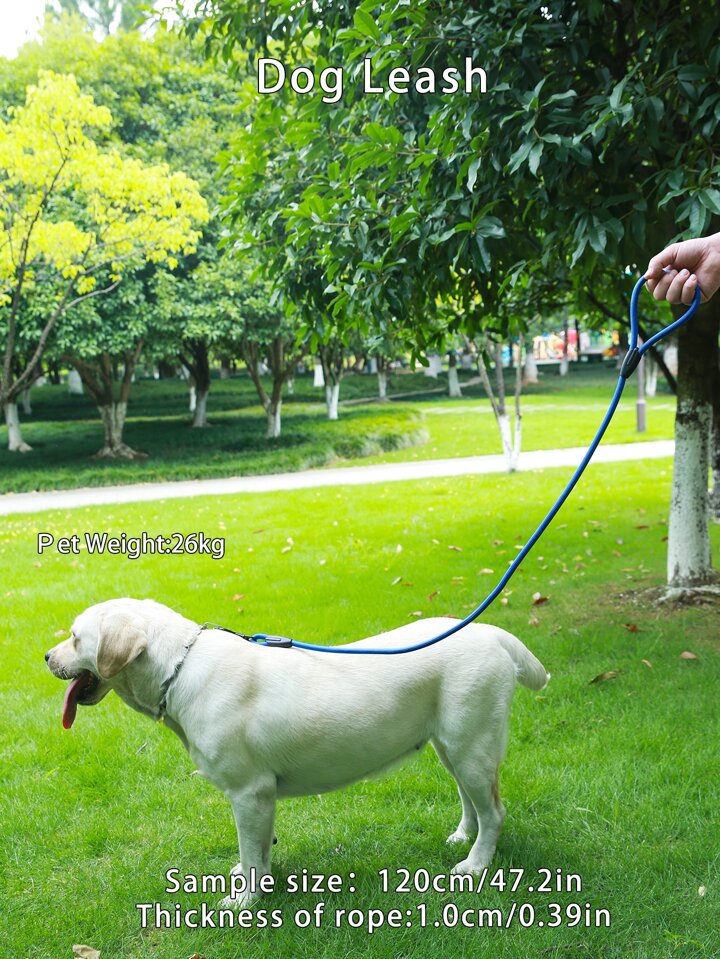 Shorter No Pull Leash Urban Walk'r