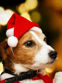 1入組紅色的寵物聖誕帽適用於狗狗&貓,聖誕節服飾配件 - 紅色 - 查看 1