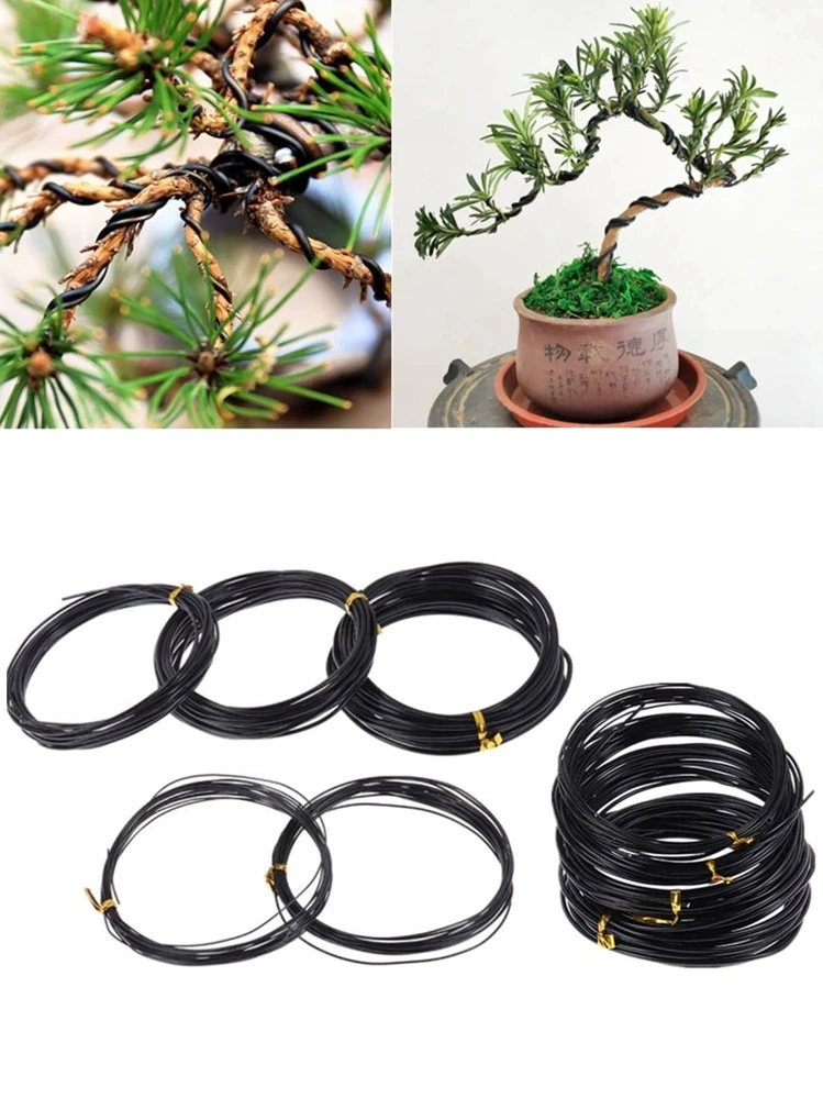 1 pieza Alambre de soporte para bonsái Alambre de entrenamiento para bonsái Accesorios de jardín de aluminio anodizado para dar forma a las plantas, 6 tamaños - Negro - Ver 1
