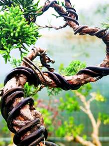 1pc Bonsai Wire Plant Support Bonsai Training Wire Anodized Aluminum Garden Accessories For Plant Shapes 6 Size - Black - View 10