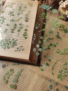 1包/6入組復古植物桉樹寵物裝飾貼紙適用於日記, - 彩色 - 查看 5