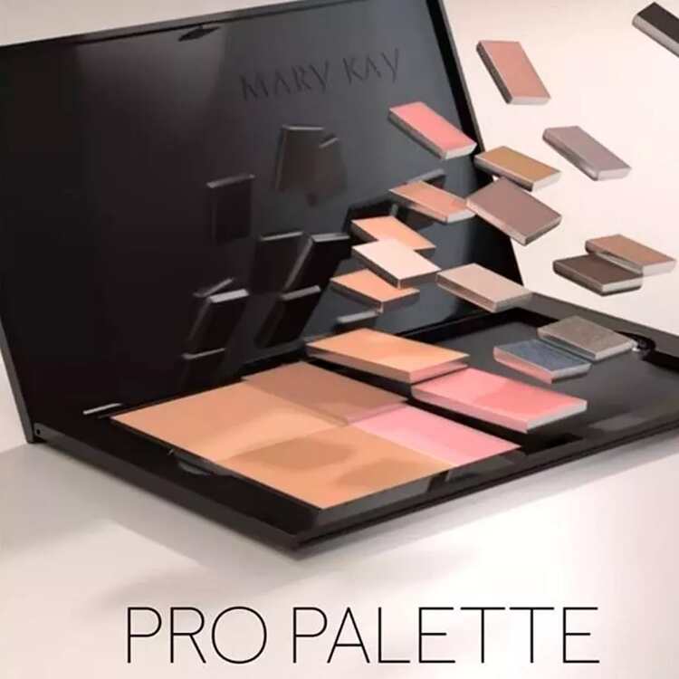 Mary Kay Pro Palette Case Large Size Up To 48 Shades Empty Palette - màu đen - Xem 6