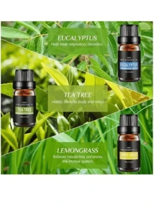 Kit De 6 Aceites Esenciales Aromaterapia 100% Puro 10ml Spa - Negro - Ver 8