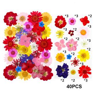 1pack Dried Flower & Plant Material Combo, 40pcs/20-24pcs, For Diy Resin Bookmark, Flower Petal, Plant Specimen