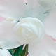 Nhiều màu