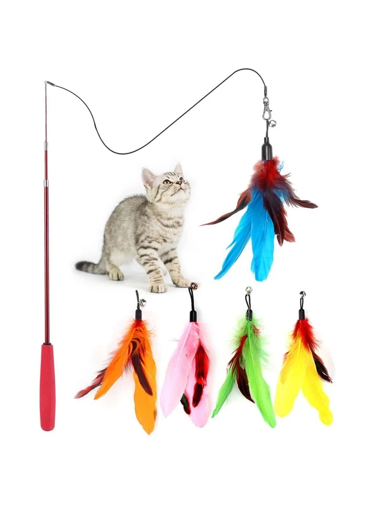 6pcs Cat Teaser Wand Toy Set, Includes 1 Retractable Wand And 5 Replaceable Attachment (Feather/Plush Bug) In Random Colors, Suitable For All Cats, For Indoor And Outdoor Use
