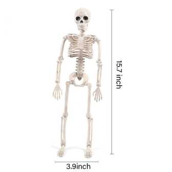1 件可折叠骷髅骨架装饰，现代简约风格，适用于角色扮演道具、派对用品最佳礼物
