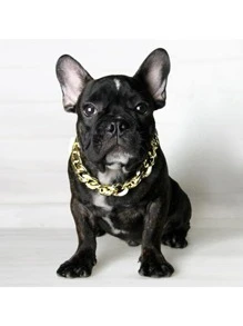 1pc Gold Chain Dog Collar,for Small And Medium Sized Dogs,pet Necklace Accessory Decoration - Gold - View 3