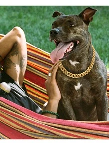 1pc Gold Chain Dog Collar,for Small And Medium Sized Dogs,pet Necklace Accessory Decoration - Gold - View 2