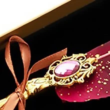 1 套創意復古羽毛筆套裝