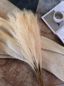 5支/10支/20支人造蘆葦草，55cm/21.65in仿真芒草枝，適用於落地花瓶花藝、波希米亞風居家廚房裝飾、客廳裝飾、婚禮派對裝飾（米色），仿真植物，秋季裝飾，房間裝飾，桌面裝飾，花園裝飾，房間裝飾用品，情人節禮物，生日畢業禮物，秋季裝飾，秋季 - 米色 - 查看 7