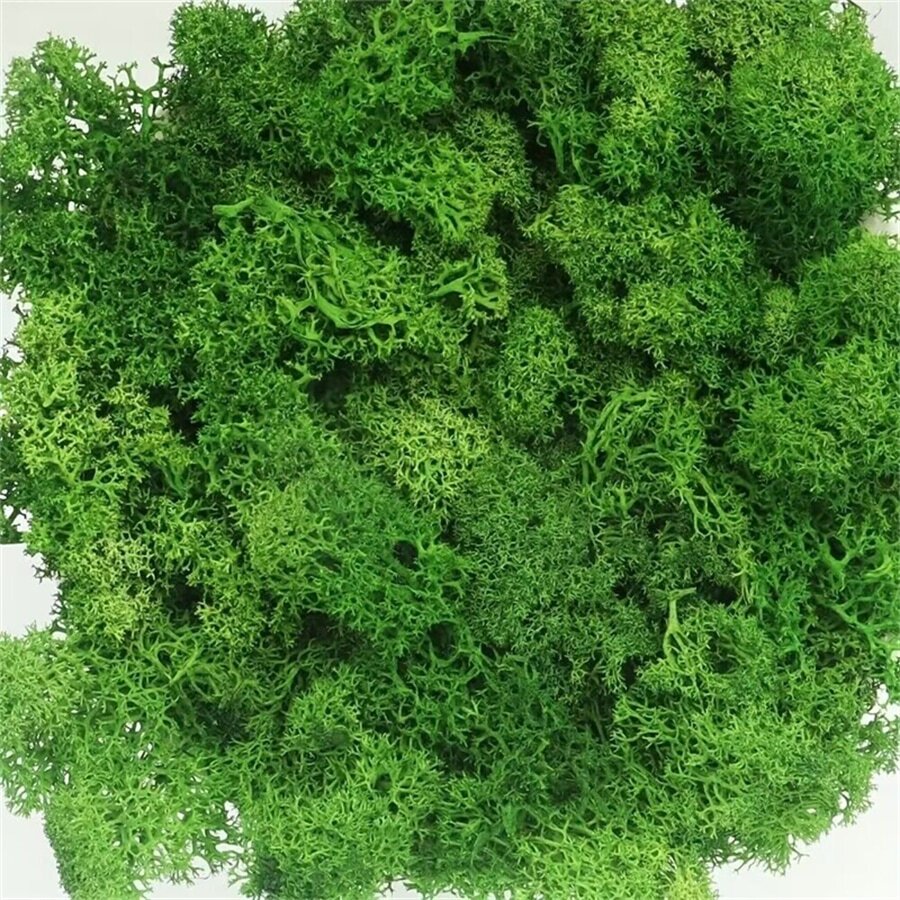 Moss, Grass, Lichen, Reindeer Moss, 0.8oz/22.7g, Fairy Garden, Terrace