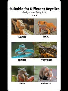 1set Daily Cleaning Tools Kit For Insect Feeding, Spider, Turtle, Reptile, And Crawler Breeding And Keeping Tank, Includes Tools For Feces And Food Residue Cleanup - Green - View 2