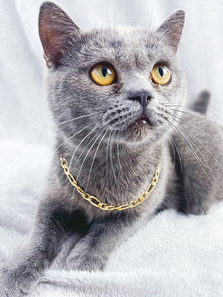 1pc Simple Aluminum Pet Necklace For Fashion - Gold - View 1
