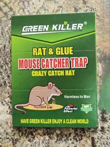 5pcs/set Powerful Sticky Mouse Glue Boards, Household Mouse Trap - Green - View 1