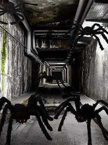 1pc Halloween Realistic Hairy Spider Decoration Collection, Giant Spider Prop For Indoor/Outdoor/Yard/Patio/Windows, Creepy Decoration,Christmas