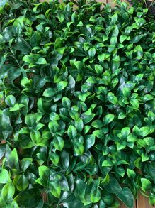 1pc 50cm*50cm Square Eucalyptus Plastic Artificial Plant Wall Background - màu xanh lá - Xem 4