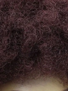 1pc Afro Short Curly Synthetic Wig & 1pc Wig Cap - Brown - View 6