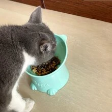 1入組卡通設計寵物碗 - 綠色 - 查看 3