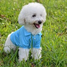 Mùa xuân/Mùa hè Quần áo thú cưng Chó Áo polo Teddy Chó nhỏ Quần áo - Màu xanh lam - Xem 11