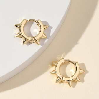 1 par Pendientes de aro guay & estilo punk de aleación remache