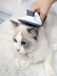 Pet Hair Combs & Brushes - Blue - View 5