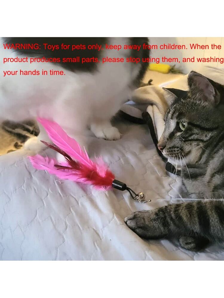 6pcs Cat Teaser Wand Toy Set, Includes 1 Retractable Wand And 5 Replaceable Attachment (Feather/Plush Bug) In Random Colors, Suitable For All Cats, For Indoor And Outdoor Use