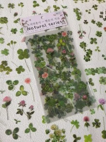 1 gói/6 tờ Tươi Mẫu thực vật Thú cưng Hình dán Đối với Trang trí Tạp chí & Sổ lưu niệm - Nhiều màu - Xem 2