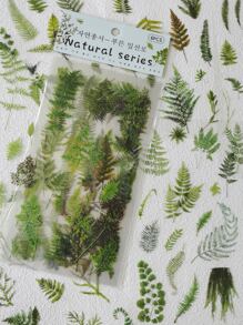 1pack/6pcs Fresh Plant & Leaf Pattern Pet Stickers For Scrapbooking Journal Decoration