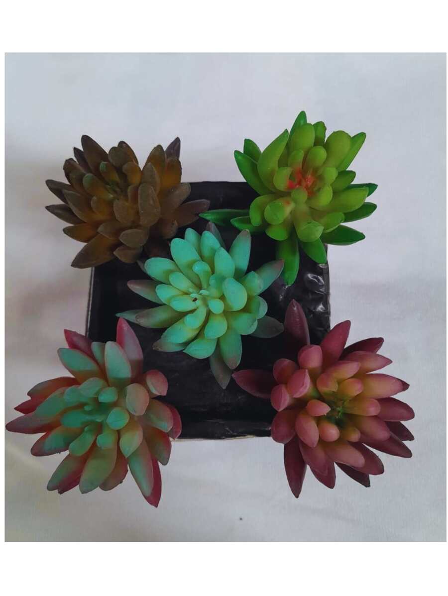 Artificial Plants - 綠色 - 查看 1