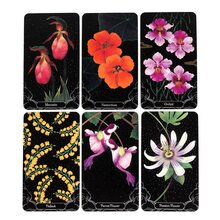 52pcs A Little Rain Botanical Oracle Cards, 10.3x6cm - Black - View 5