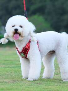 1pc Breathable Pet Harness & 1pc Pet Leash For Dog For Outdoor