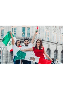 12 Diademas tricolor para Festejo de México Tricolor - Negro - Ver 3