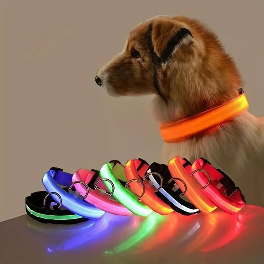 1 Stück LED Aufleuchten Haustierkragen einstellbar Blinkt Hunde Halsband für Nacht Sicherheit