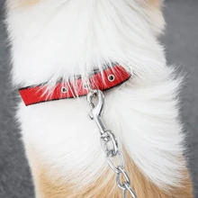 1pc Solid Dog Training Collars Nylon Adjustable Pet Neck Strap For Small Medium Large Dogs Cat Neckband Foam Padded Dog Collar Dog Accessories Random Color Shipping - Multicolor - View 7