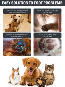 1pc Pet Paw Cleaner, Deep Cleaning For Dog & Cat, Foot Pad Care - Multicolor - View 4