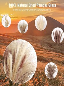 15 PCS Faux Pampas Grass, 18" Short Artificial Pompous Grass Floral Fake Pompas Grass Branches Vase Filler Flower Arrangement For Home Wedding Boho Decor, Fall Decor,Autumn - Multicolor - View 7